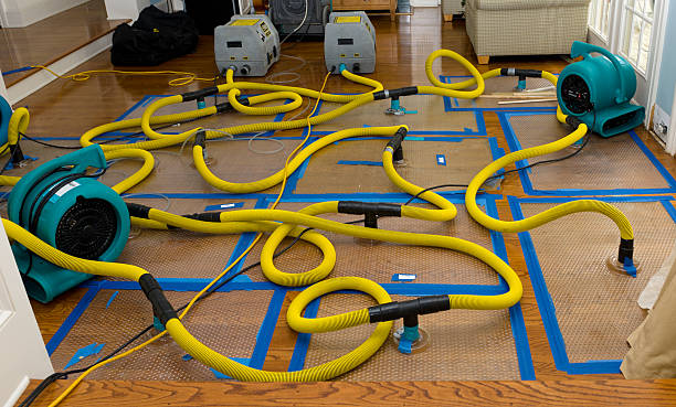 Professional Water Damage Repair technician working in New London, NC